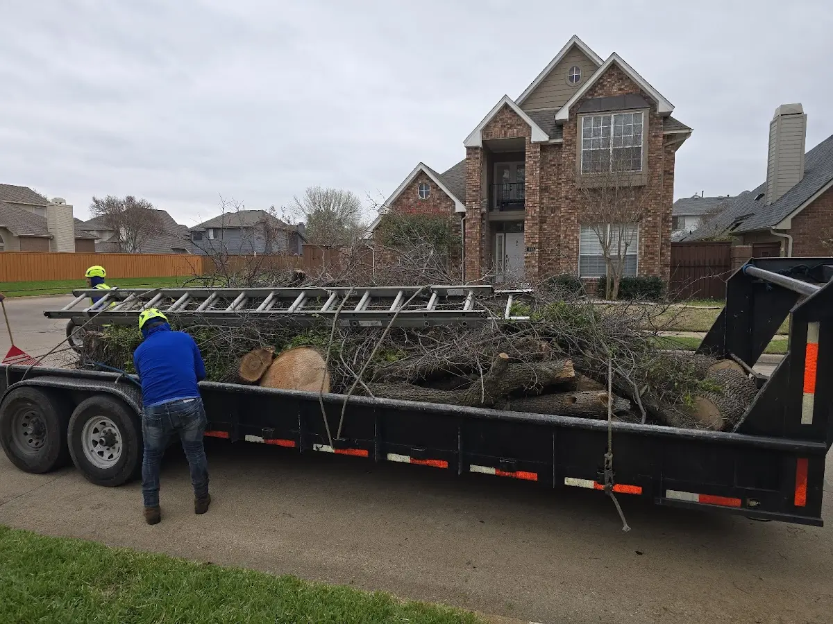 Expert Tree Pest Control with proper safety equipment in Braithwaite
